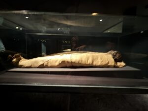 Luxor Museum