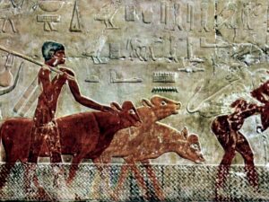 Mastaba of Ti